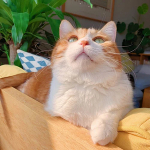 在澡堂里被操的浴仙浴死啊啊在线观看视频
